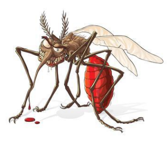 您的爱车内有蚊子，将如何灭蚊驱蚊呢?